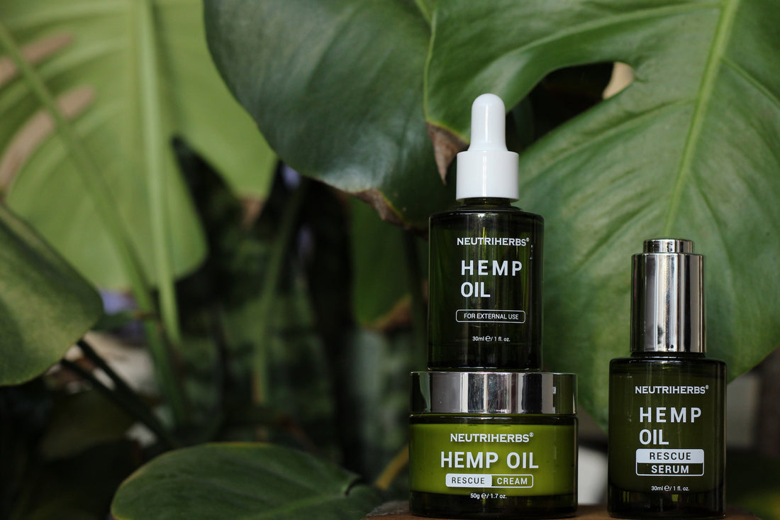 What is Hemp? | What’s the difference between CBD and Hemp Oil? - Neutriherbs SA