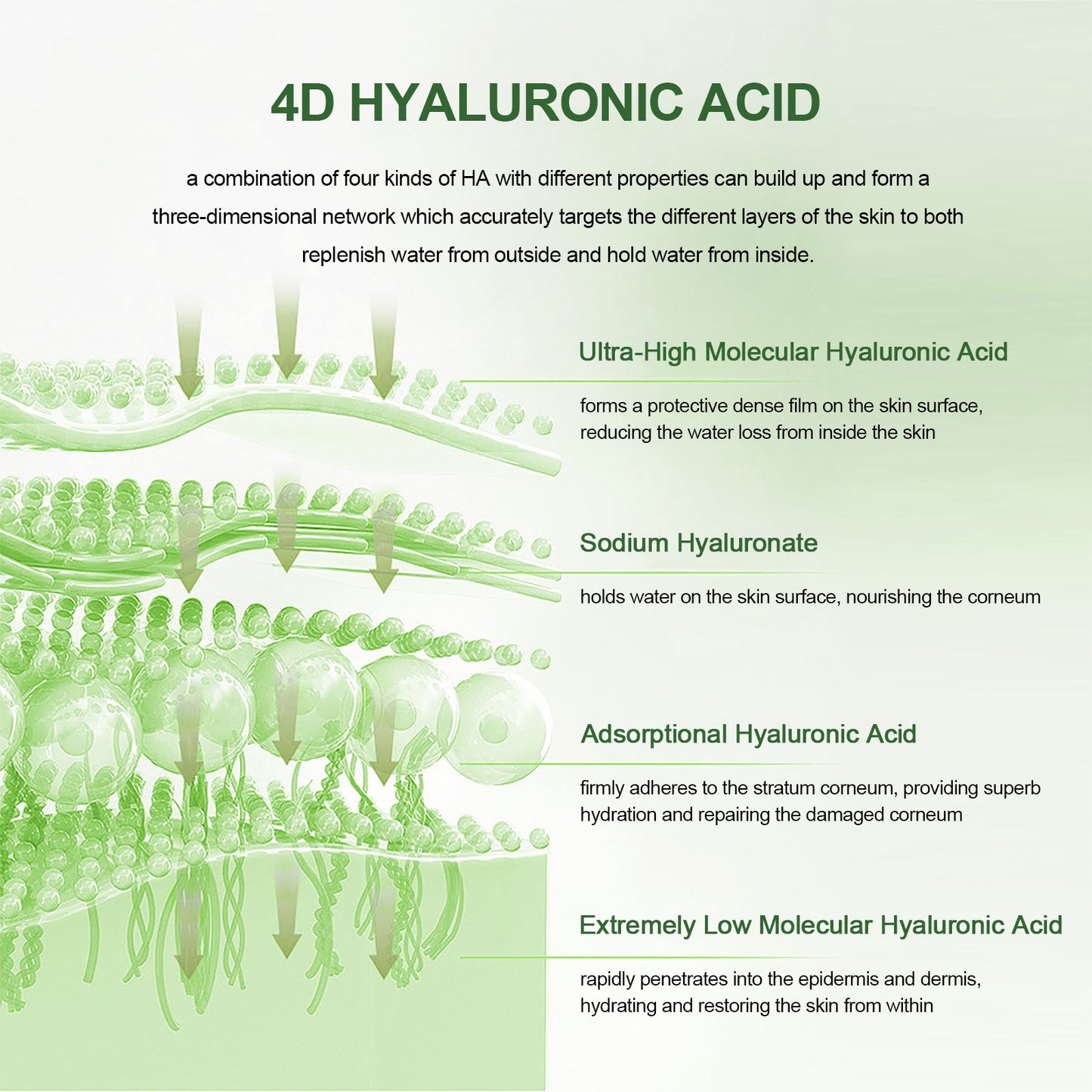 4D Hyaluronic Acid Face Cream Plus 84% Immediate Hydration