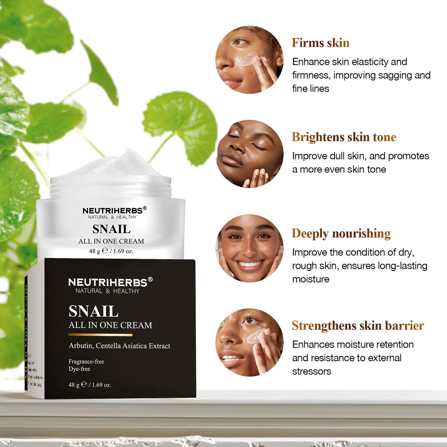 The Best All In One Snail Mucin Cream For Anti-Aging And Skin Repair